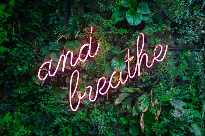 Neon sign reading 'and breathe' surrounded by greenery